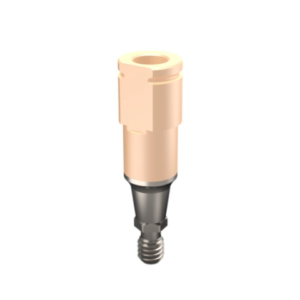 Scan body (Cad Cam) - Intraoss